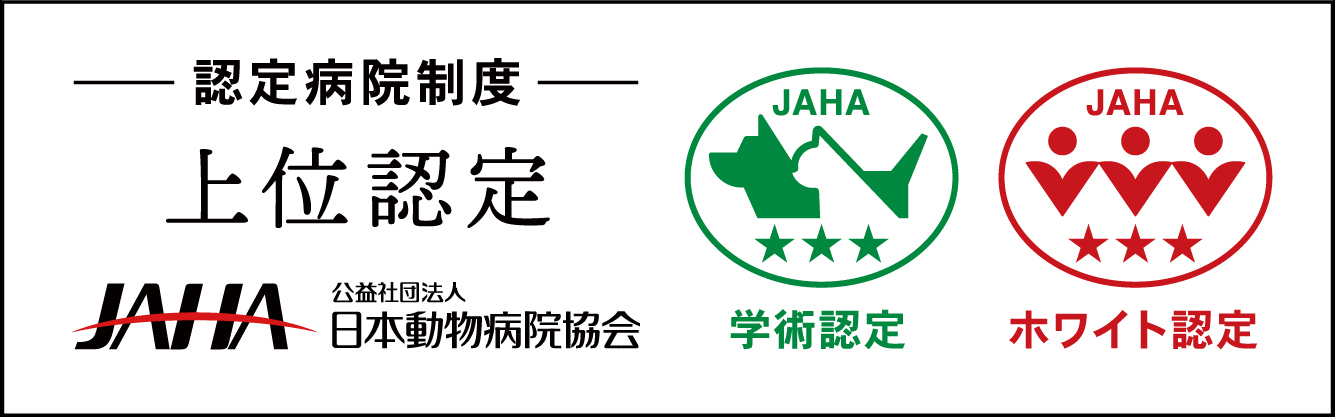 JAHA認定証