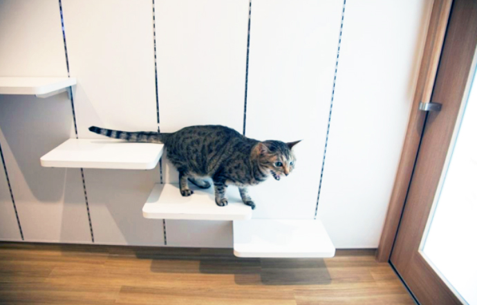 キャットフレンドリー