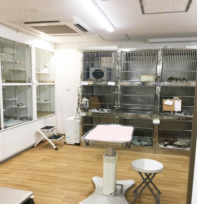 キャットフレンドリー