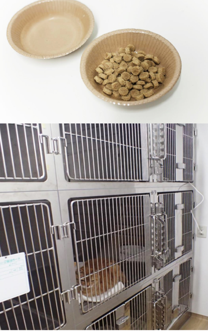 キャットフレンドリー