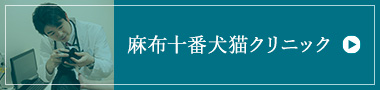 麻布十番犬猫クリニック