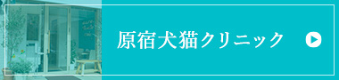 JAMC原宿犬猫クリニック