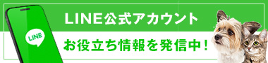 LINE公式アカウント