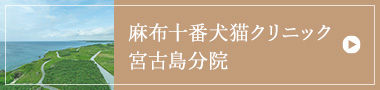 麻布十番犬猫クリニック宮古島医院