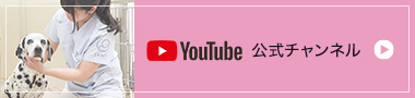 公式YouTubeチャンネル