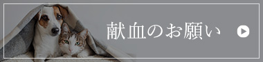 献血のお願い