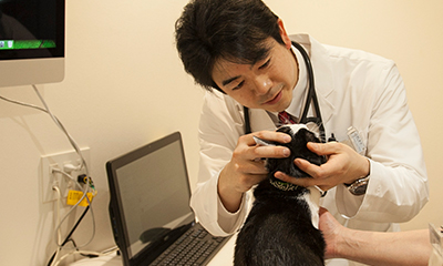麻布十番犬猫クリニック