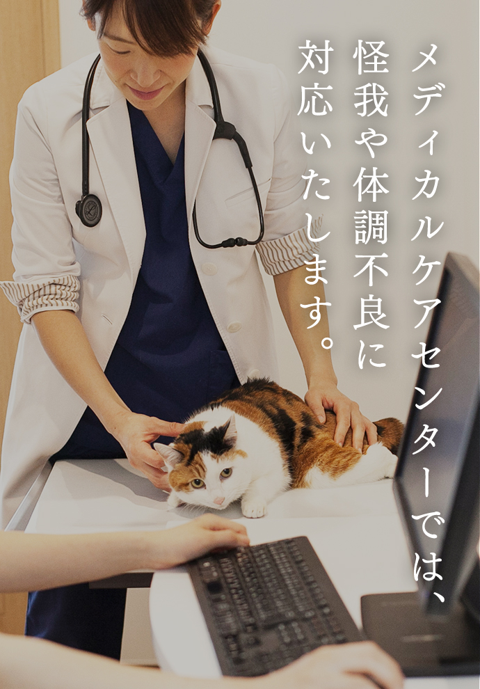 メディカルケアセンターでは、 怪我や体調不良に 対応いたします。