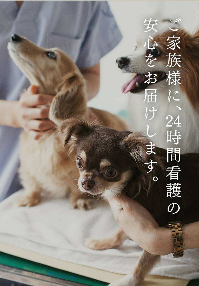 ご家族様に、 時間看護の 安心をお届けします。