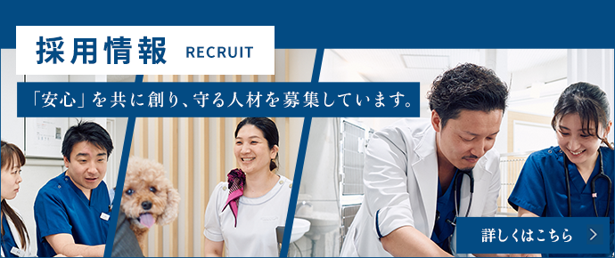 採用情報