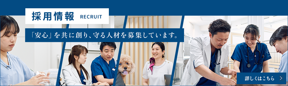採用情報