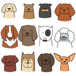動物病院スタッフが犬種愛について語る～トイプードル編～