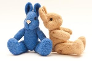 うさぎのソアホックとは