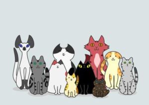 猫の毛色と性格は関係ある？