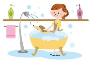 自宅で出来る愛犬のケア5選　～素敵なワンちゃんでいる為に～