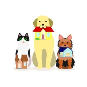 犬の里親募集～新しいパートナーとのすてきな出会い～