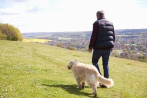 大型犬とおでかけする時のポイントは？
