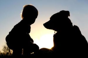 はじめて犬を飼おうとしている方に考えてほしい５つのこと