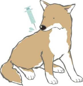 これだけはやっておきたい犬に必要な予防５選