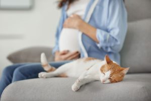 猫と妊婦さんの重要な感染症～トキソプラズマ症～