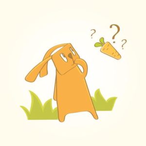 うさぎの気になる行動～これって発情期？