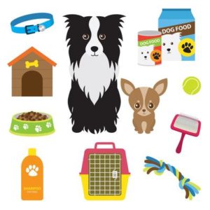 備えて安心！　犬の防災グッズ6選