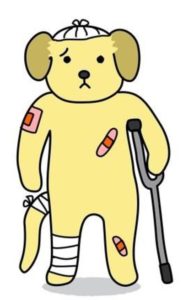 犬が交通事故に遭ってしまった！