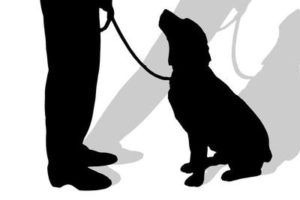 犬の防災対策　事前に出来る６つの準備